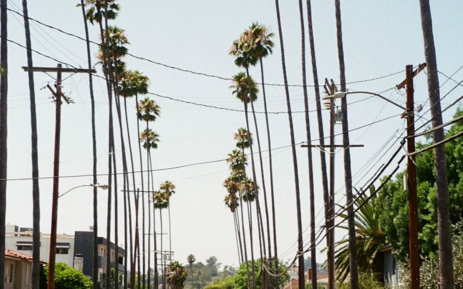 City or neighborhood view of Studio City, CA, served by OurMaids residential and commercial cleaning services