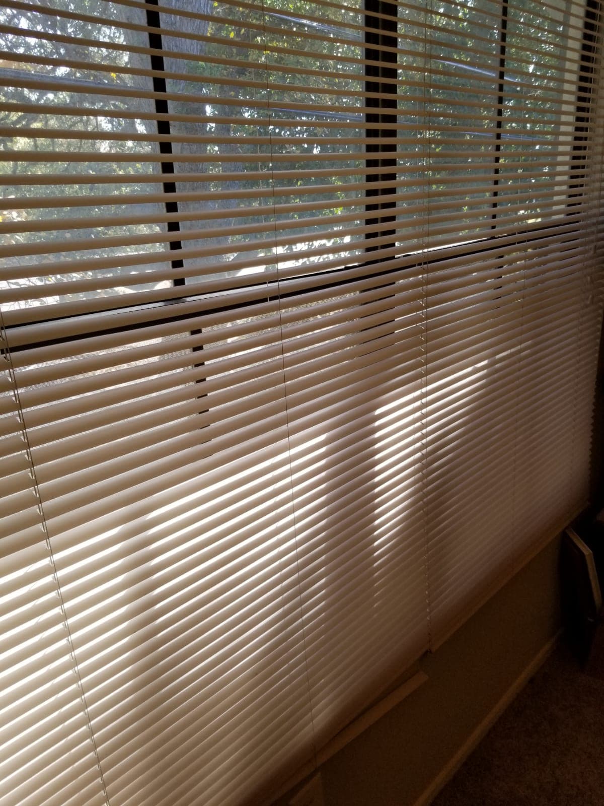 Deep Cleaning — Over 4,000 Sq. Ft.
